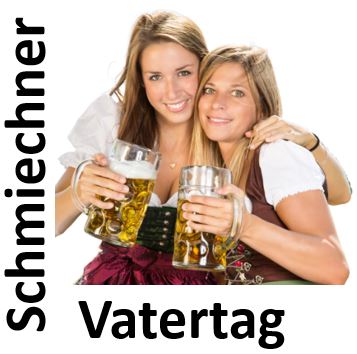 Party Flyer: Kreismusikfest Alb-Donau-Kreis am 28.05.2017 in Schelklingen